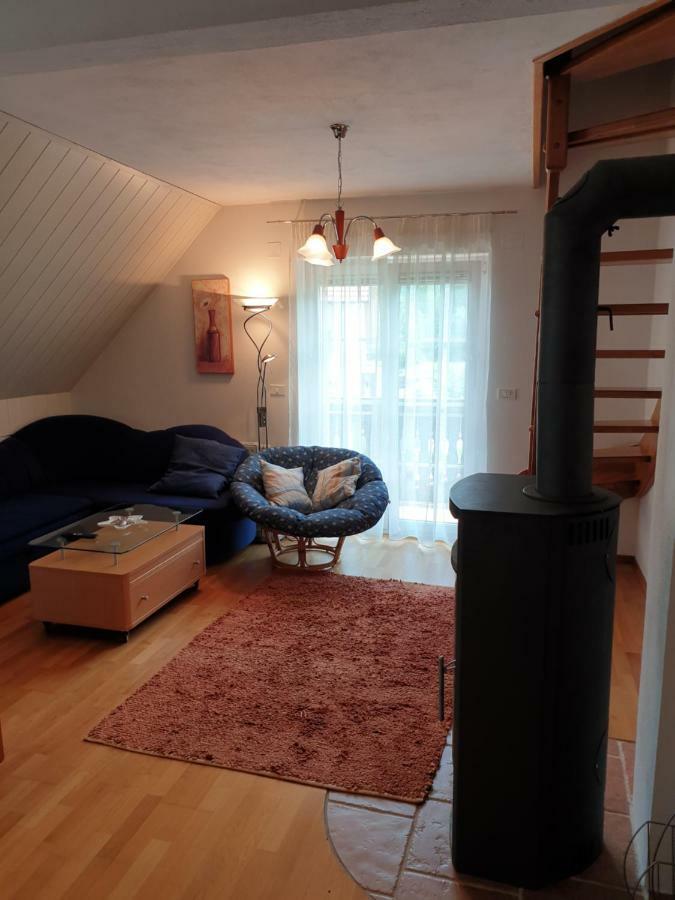 קרנייסקה גורה Apartman Irvin מראה חיצוני תמונה