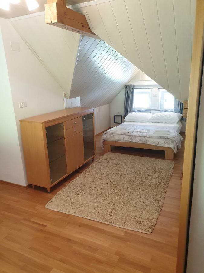 קרנייסקה גורה Apartman Irvin מראה חיצוני תמונה