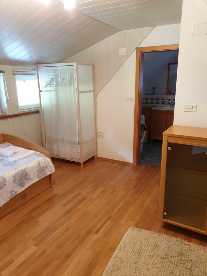 קרנייסקה גורה Apartman Irvin מראה חיצוני תמונה