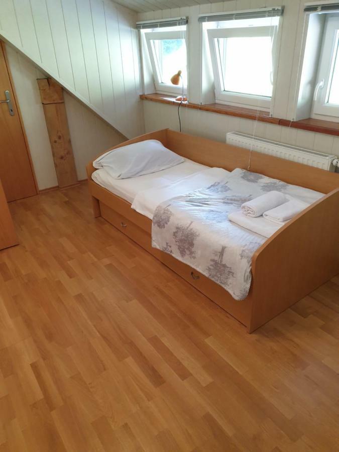 קרנייסקה גורה Apartman Irvin מראה חיצוני תמונה