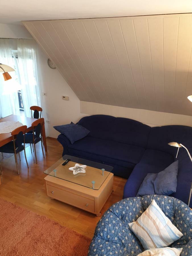 קרנייסקה גורה Apartman Irvin מראה חיצוני תמונה