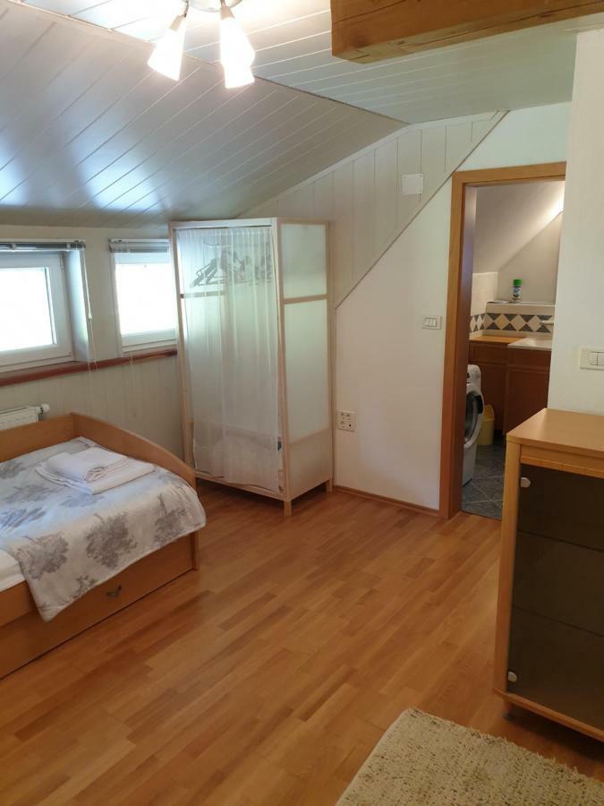 קרנייסקה גורה Apartman Irvin מראה חיצוני תמונה